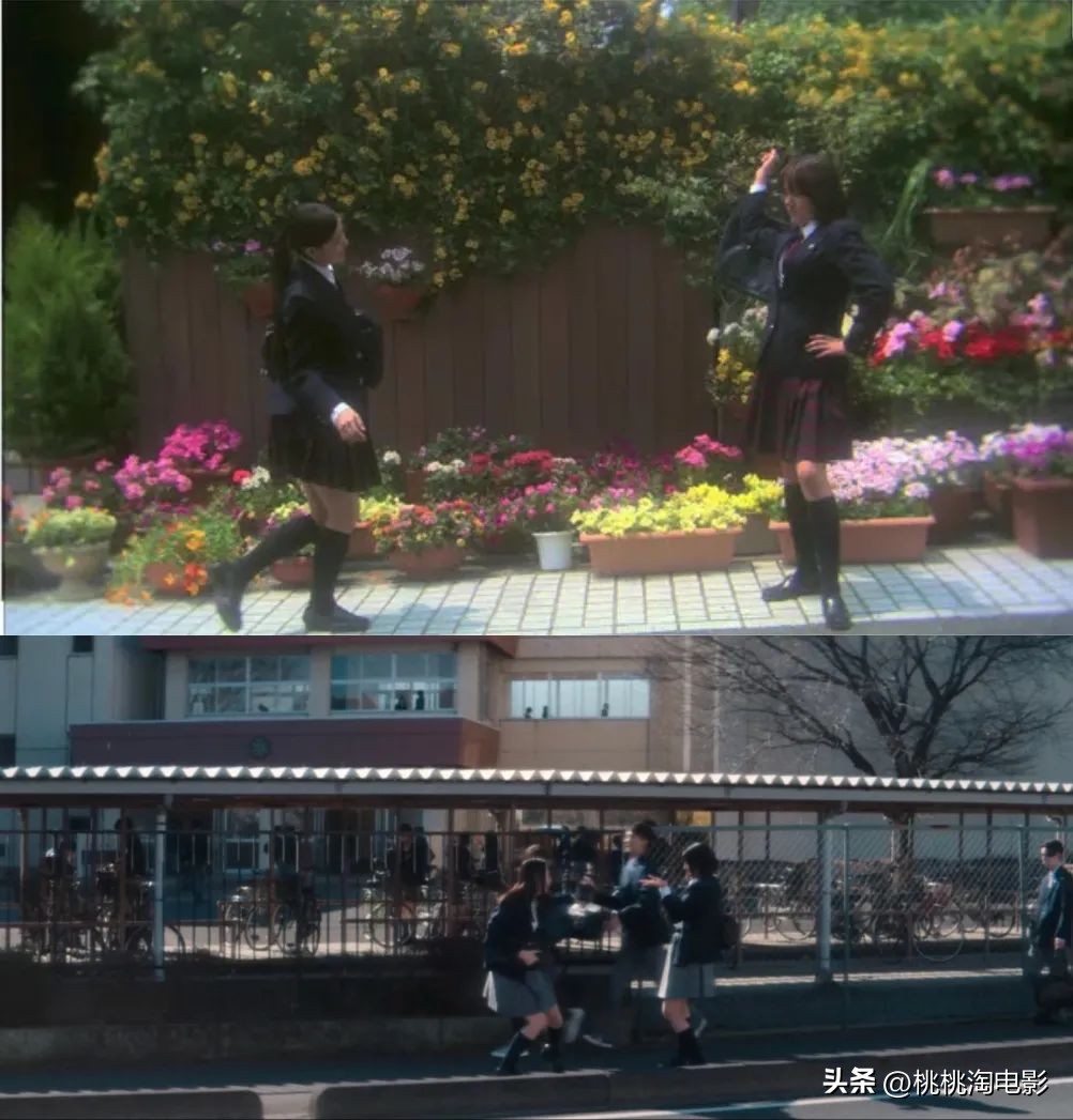 网红剧都有什么,19年的网红剧