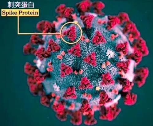 丙种球蛋白用法,丙种球蛋白贵吗