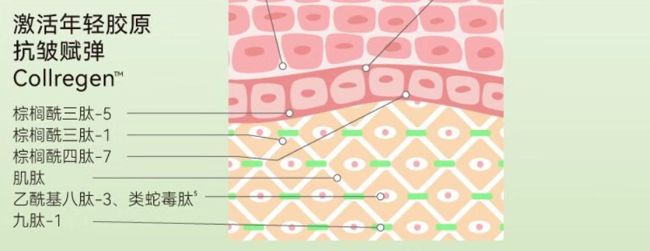 30岁以上什么精华液好用,适合中年女性用的精华液