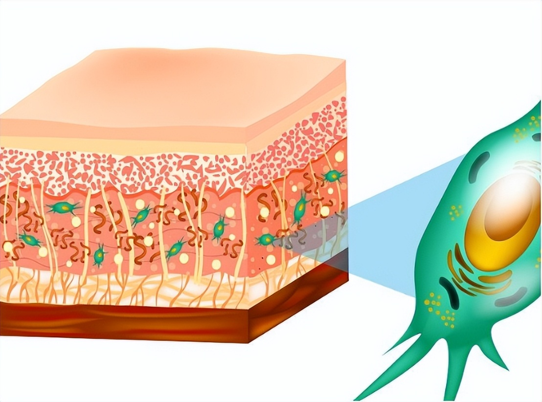 牙龈纤维瘤是肿瘤吗,牙龈纤维瘤会遗传给下一代吗
