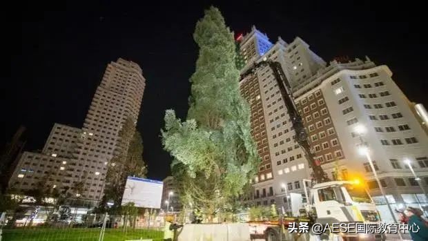 狂欢节西班牙马德里,西班牙马德里的元旦观灯节