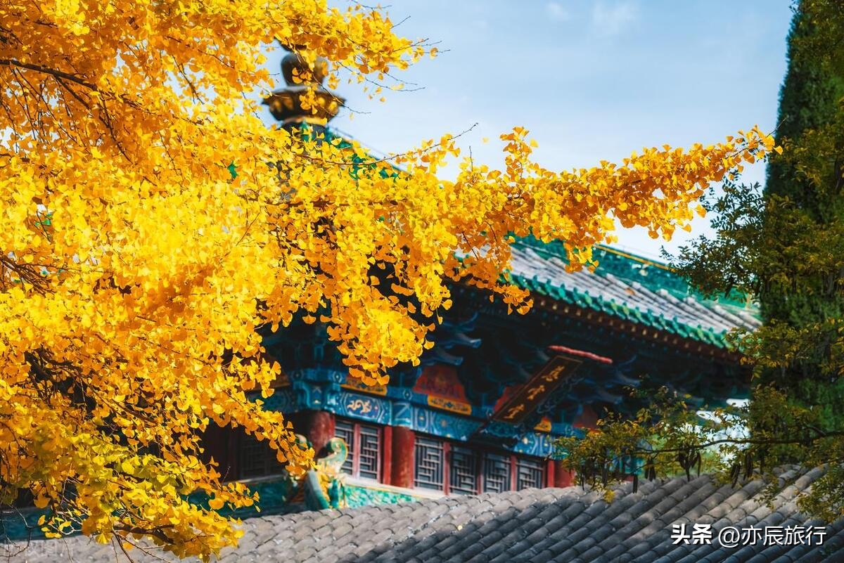 2022年离河南最近的旅游景点推荐,河南适合摩旅的免费旅游景点大全