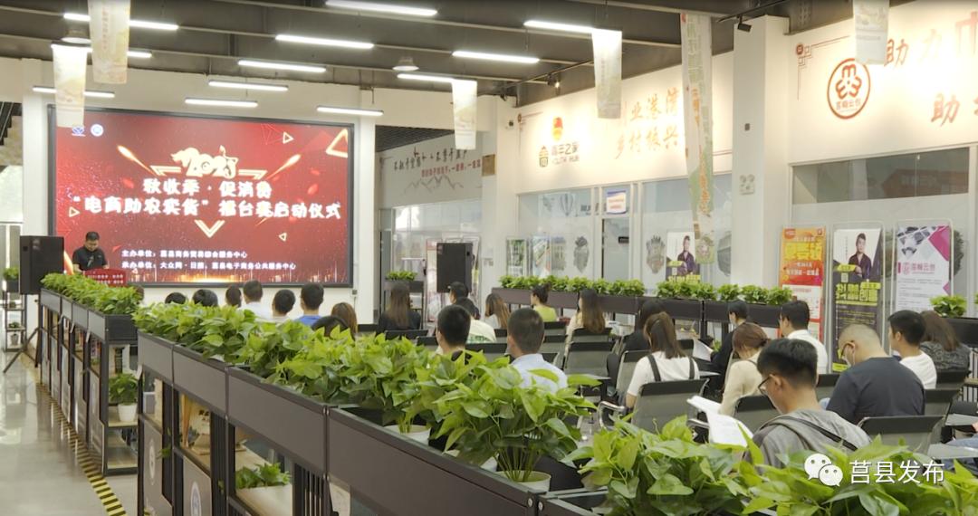 “电商能人”张守军