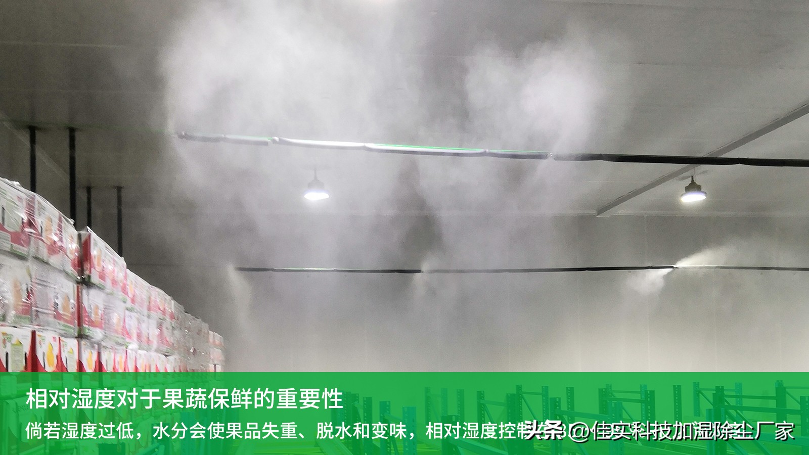 冷库加湿真实案例,冷库加湿方案