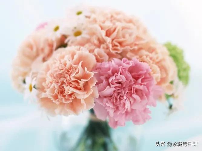 母亲节给丈母娘的祝福文案,母亲节祝福文案高级贺卡