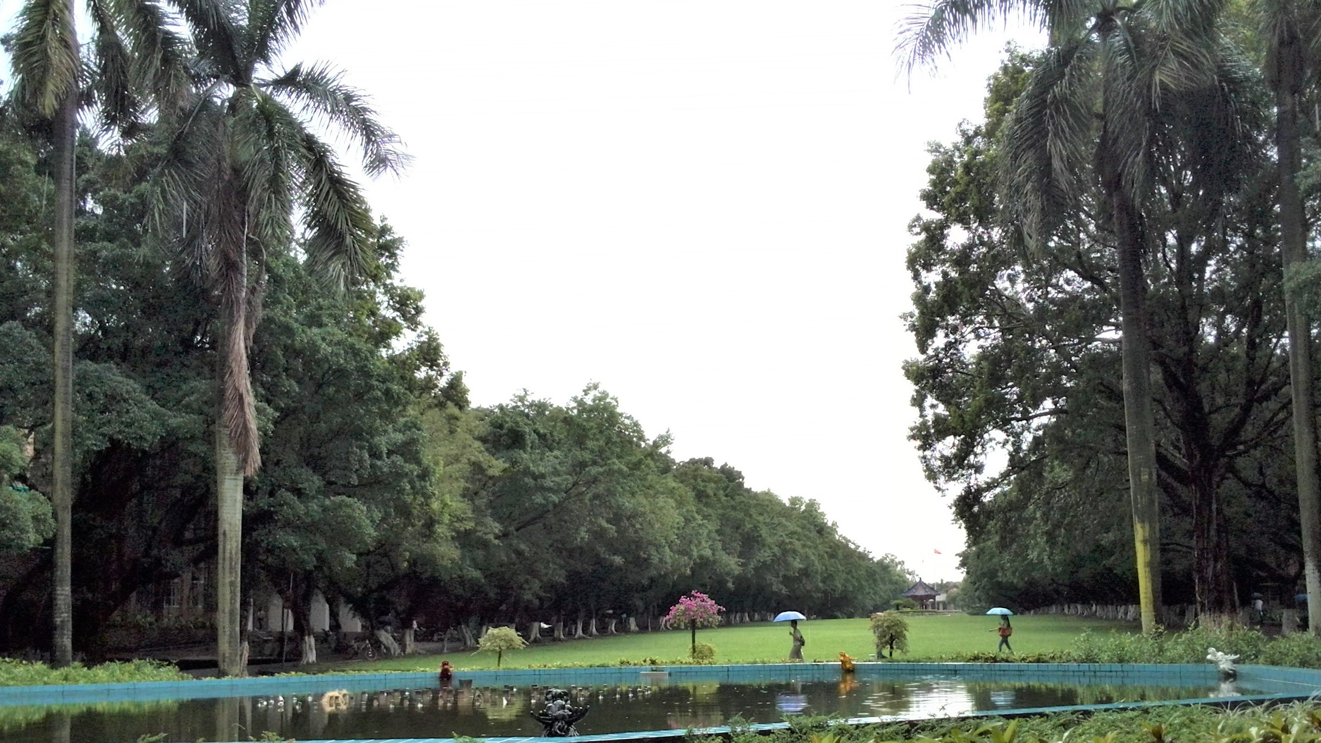 华南第一中山大学,中山大学广东人眼中的清华