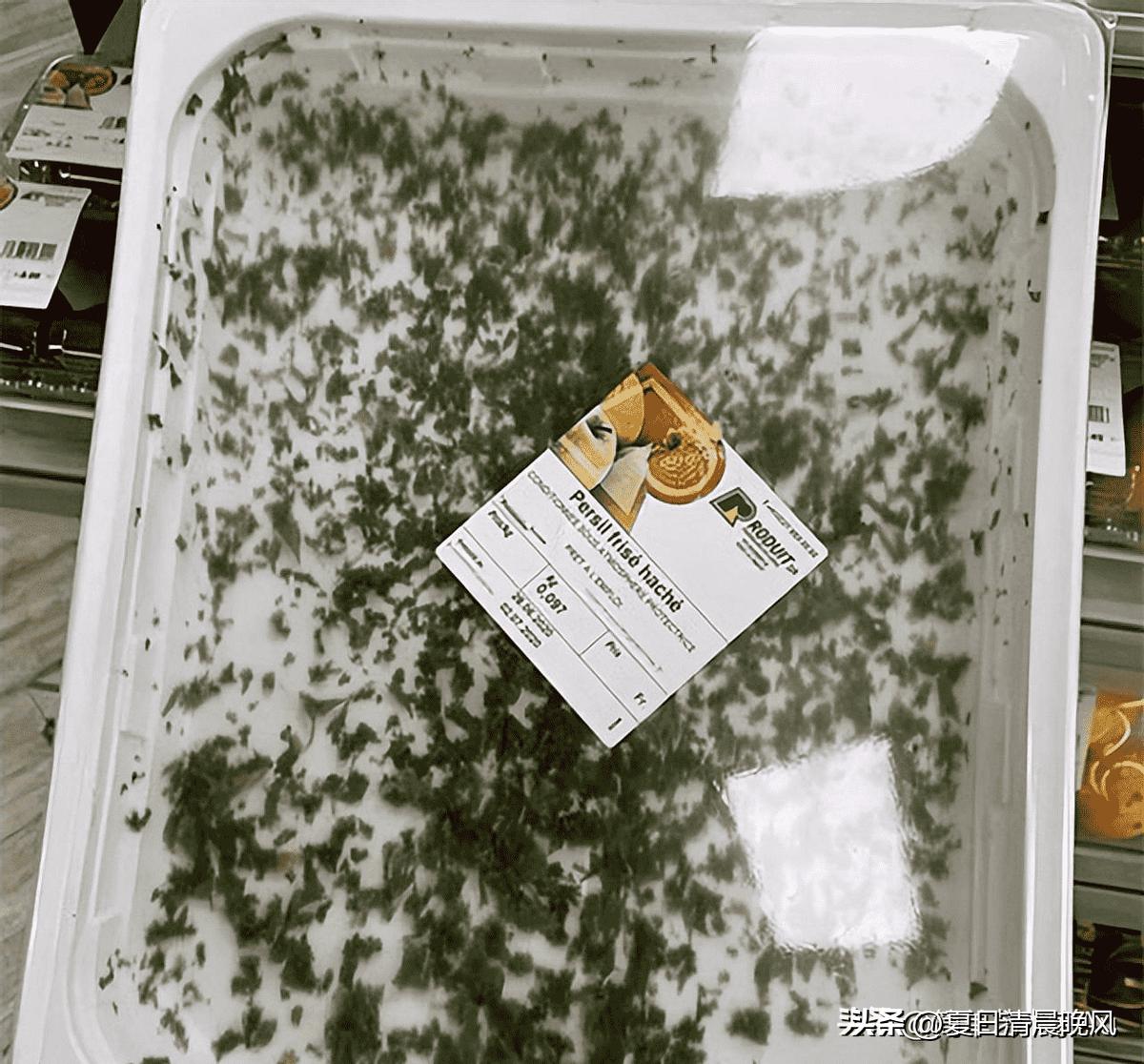 日寇在隆回暴行,日军在武冈的暴行