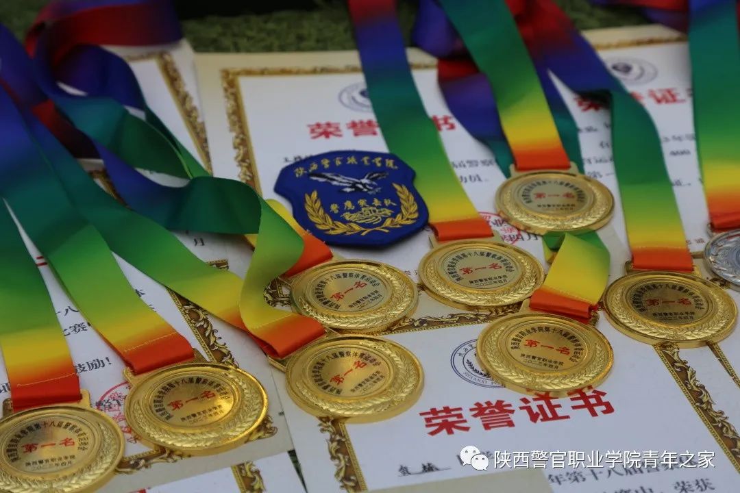 公安专业志愿填报模板,2021年警察专业志愿填报