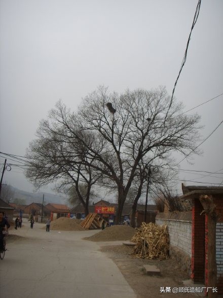 这个人烧成灰我也不会认错，1979年滦平县黄旗山7.13大案侦破始末