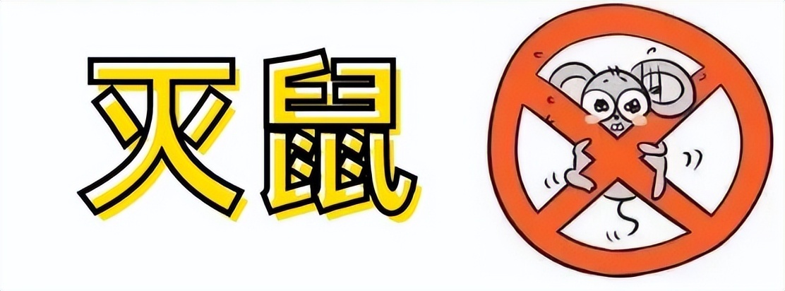 驱除四害的小妙招,夏天的四害怎么消灭