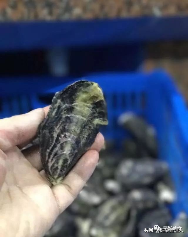 世界顶级海鲜食材,世界顶级的海鲜视频