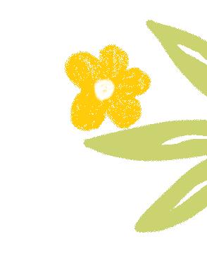 IFA优秀商业论文——《悦己芳香美学工作室商业计划书》