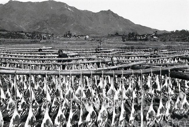 金华城老照片,浙江金华老视频