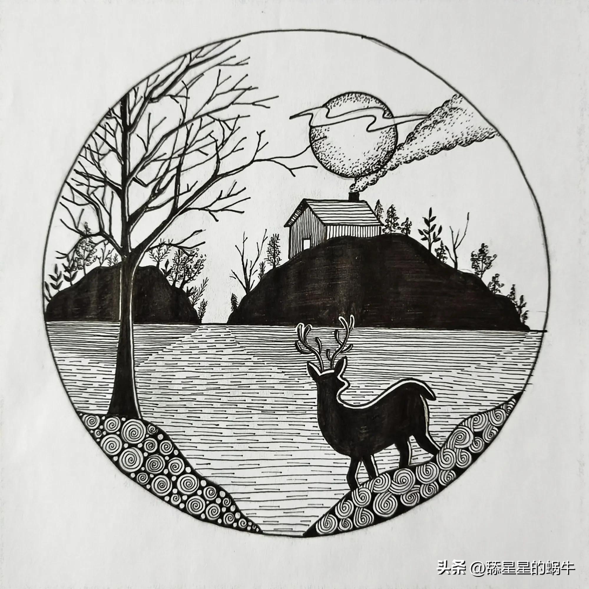 线描画黑白写生教程,线描中的黑白对比学生作品