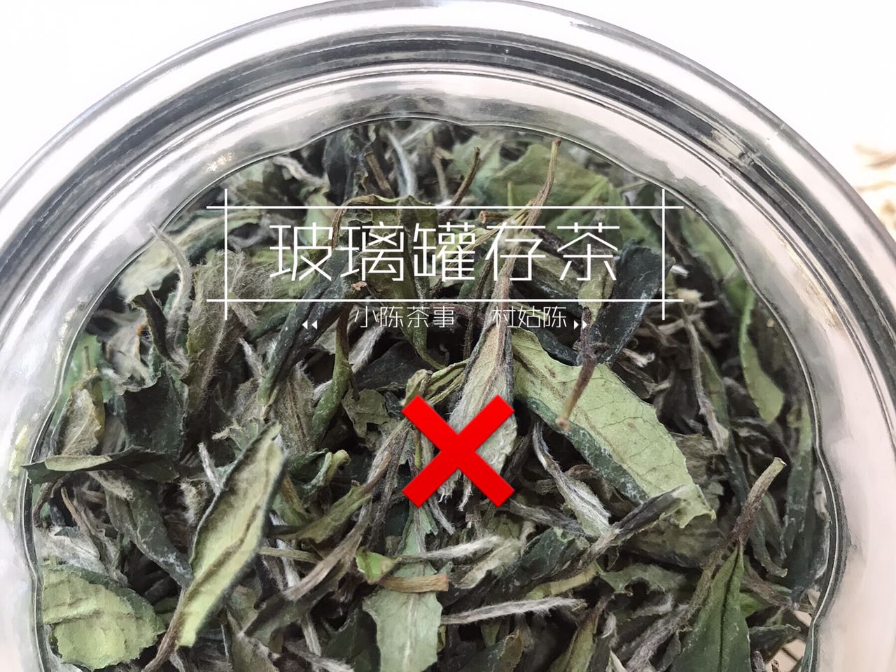 茶知识白茶的保存有什么诀窍,日常存白茶有哪些存茶细节要注意