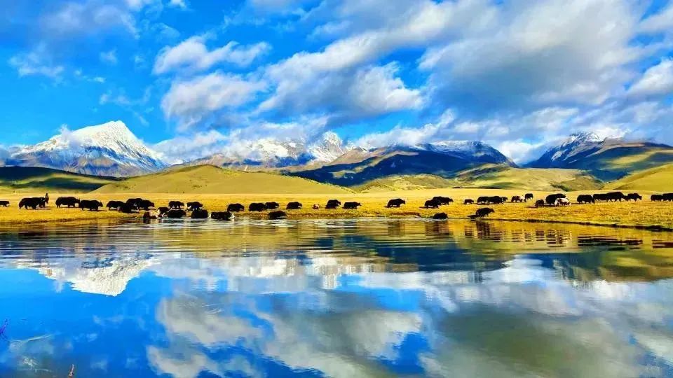 中国旅游日凉山,中国旅游日四川景区