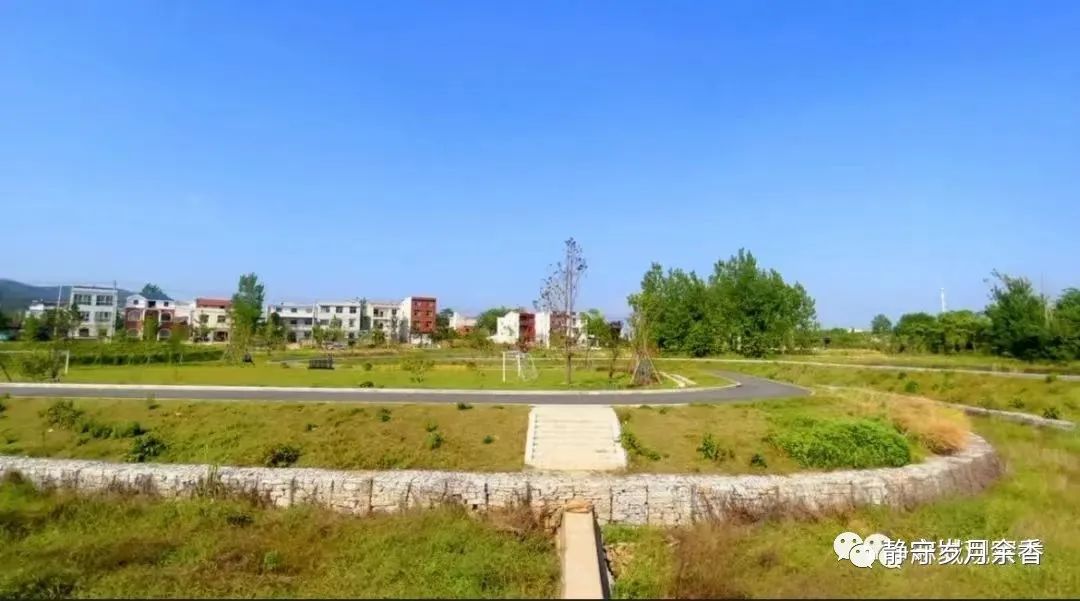 李文涛摄影,李文涛油画作品大全