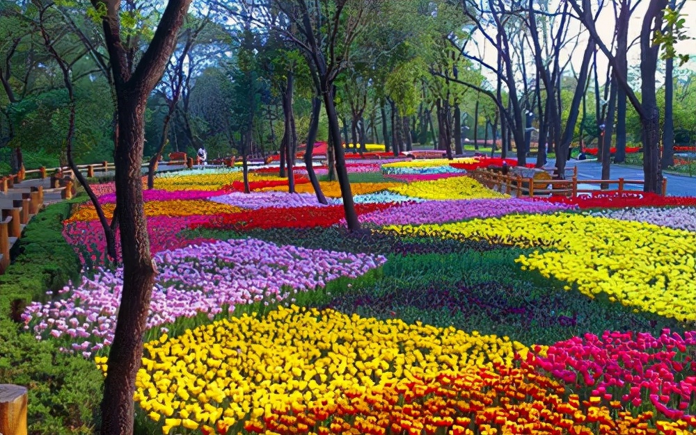 适合全家人旅游的地方沈阳,沈阳全家游玩景点