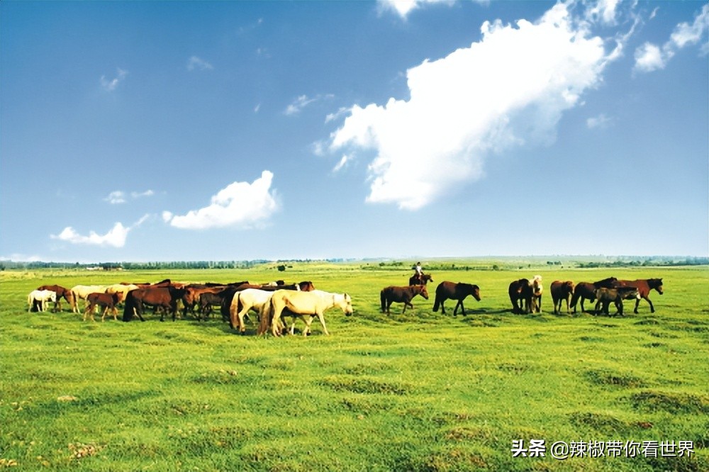 壮美内蒙古鄂尔多斯,内蒙古鄂尔多斯风景