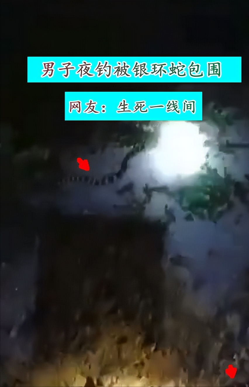 头皮发麻！山东女子从洗衣机洗出冻僵蛇，雄黄驱蛇是“摆设”吗？