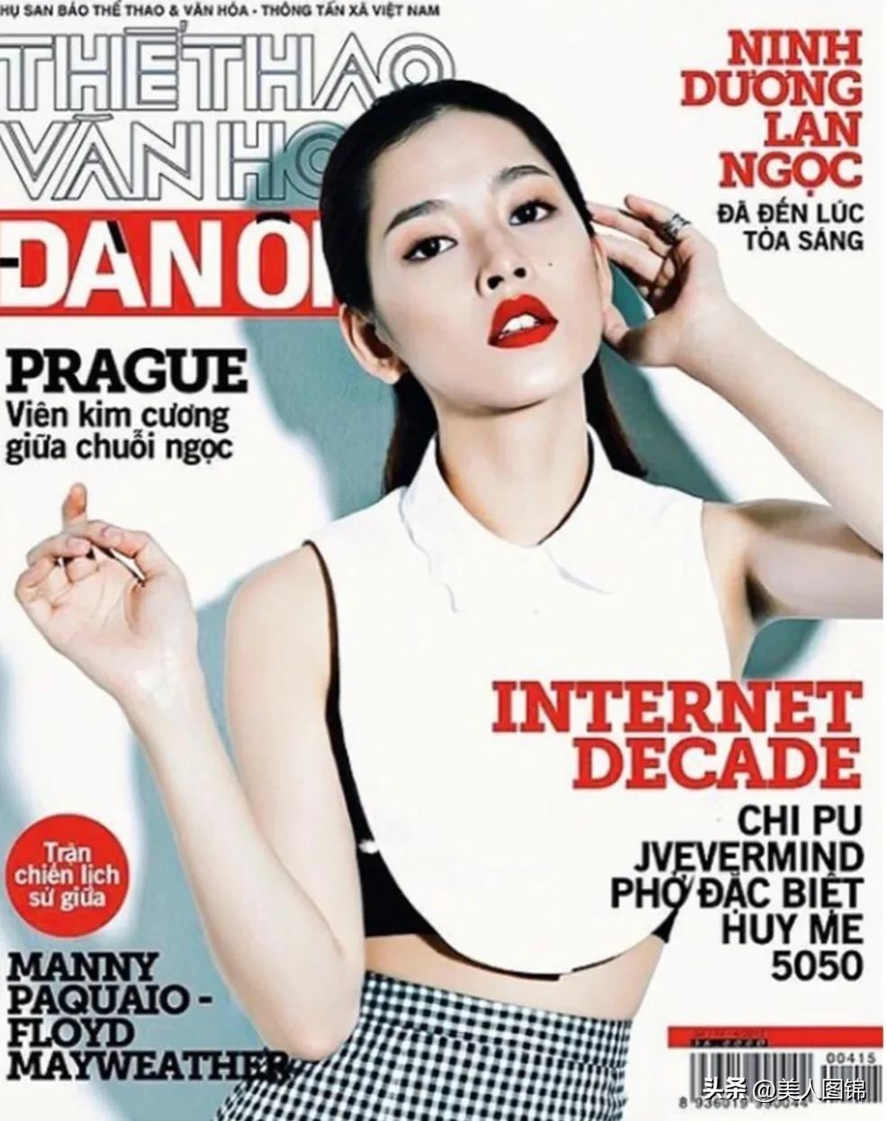 越南芝芙,芝芙越南