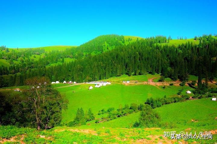 咏草诗句,咏草古诗句子