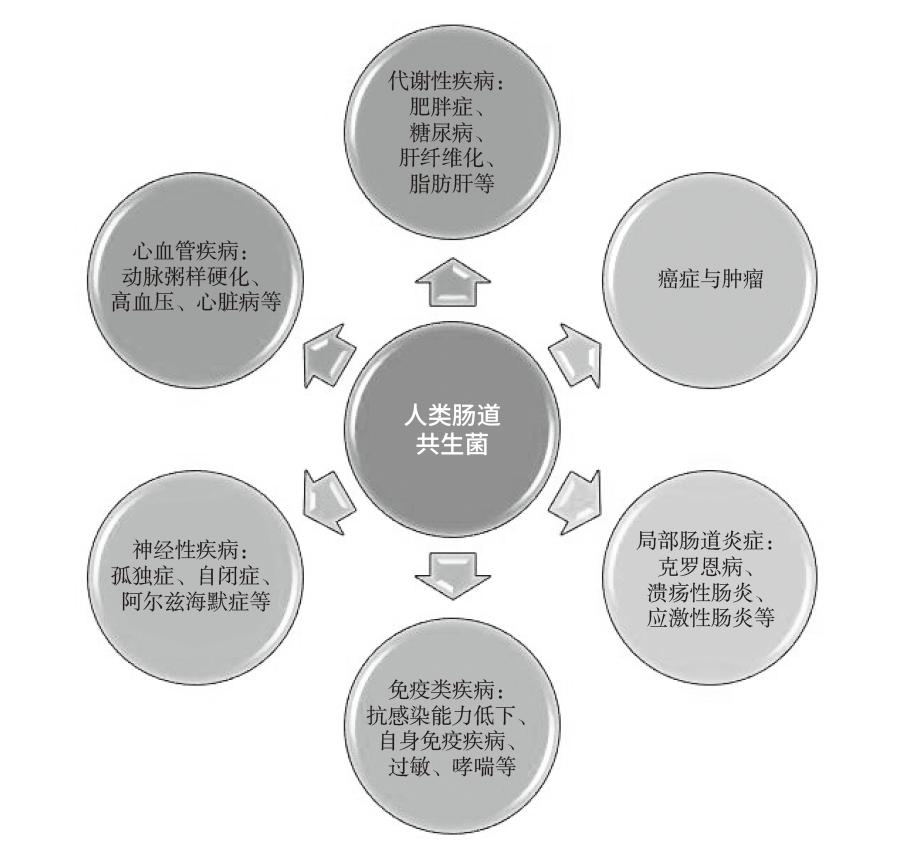 一沙一世界一叶一菩提的感悟,一沙一世界一叶一枯荣