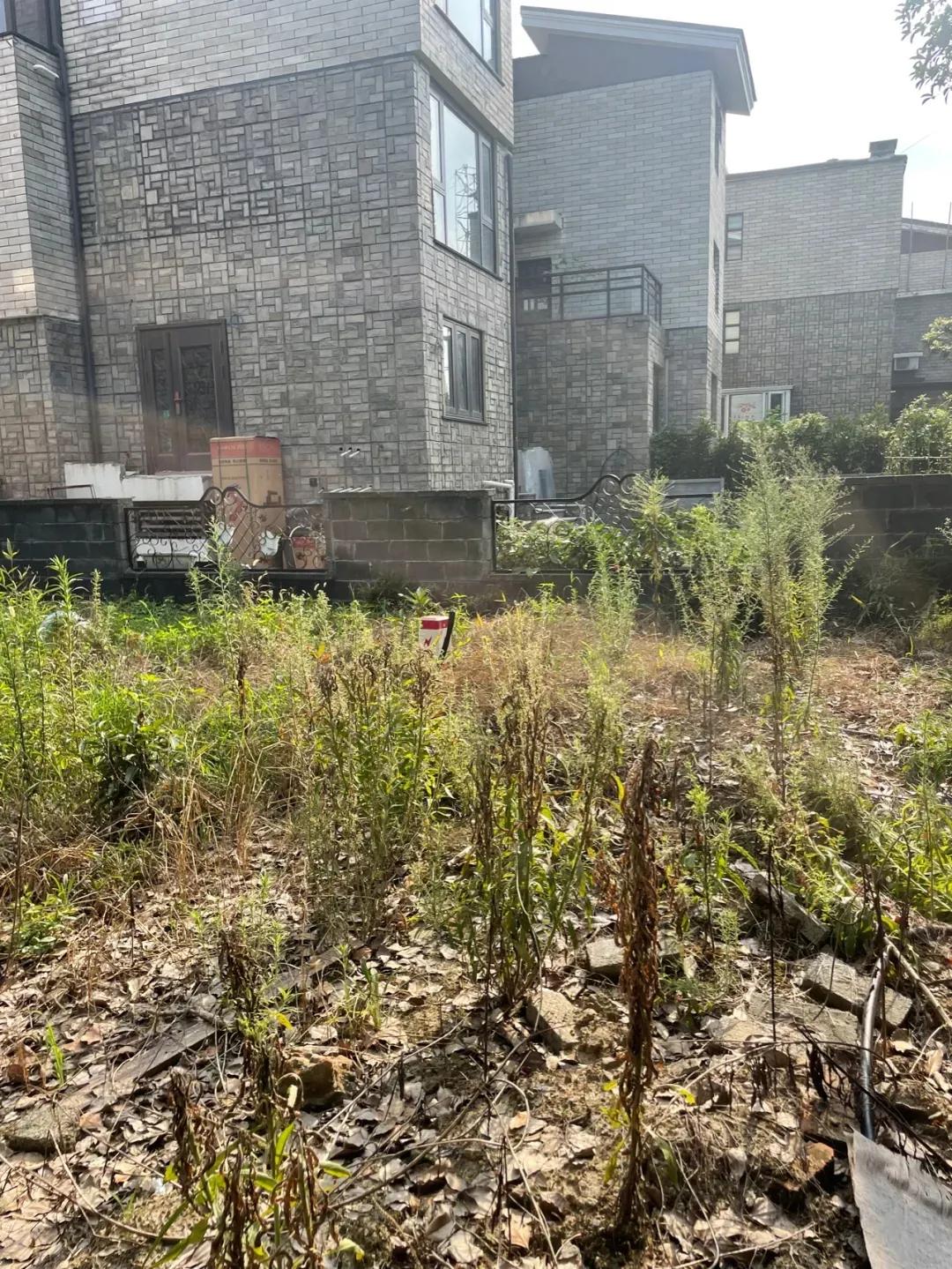 痛心的购房经历,嘉兴买房后悔的真实感受