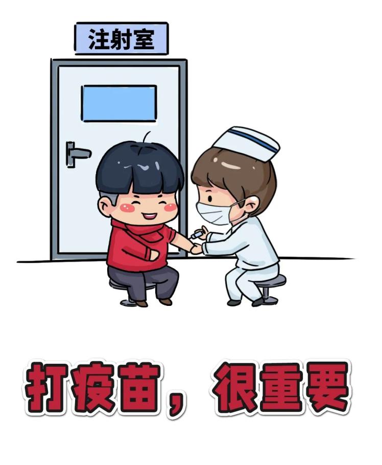 增强免疫系统,增强疫苗免疫效果的方法