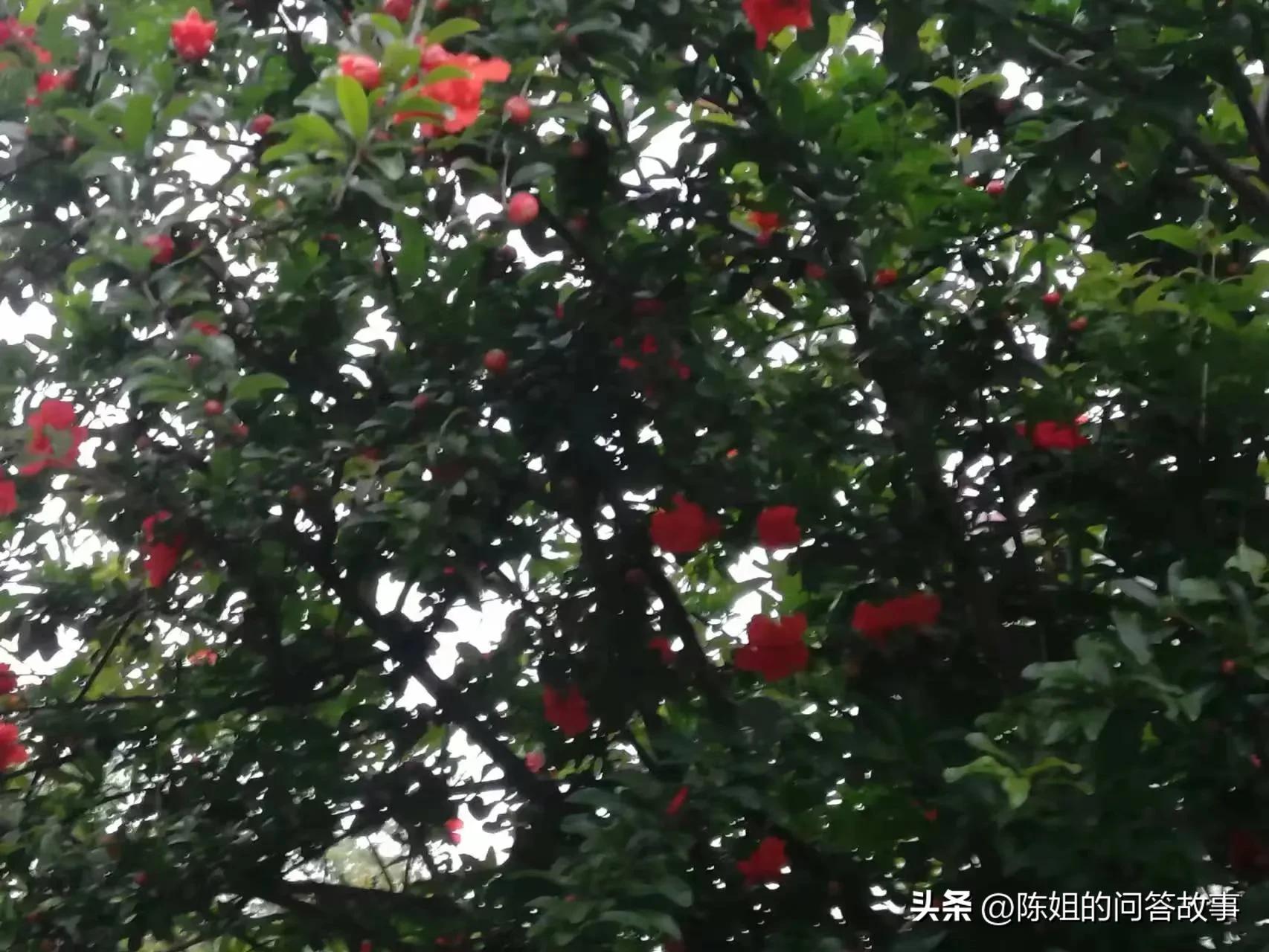 婆婆每年给我2万却不帮带孩子,二婚婆婆从没帮我带过孩子