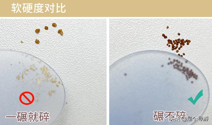 海藻面膜颗粒是海里生长的吗,海藻面膜是大海藻还是小海藻