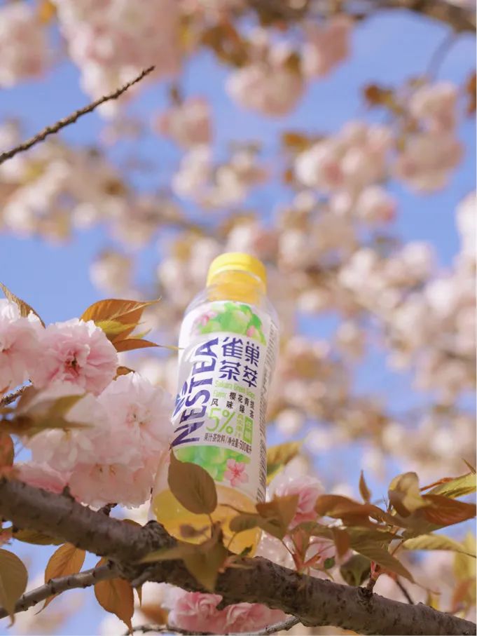 雀巢茶萃图片,雀巢茶萃新包装