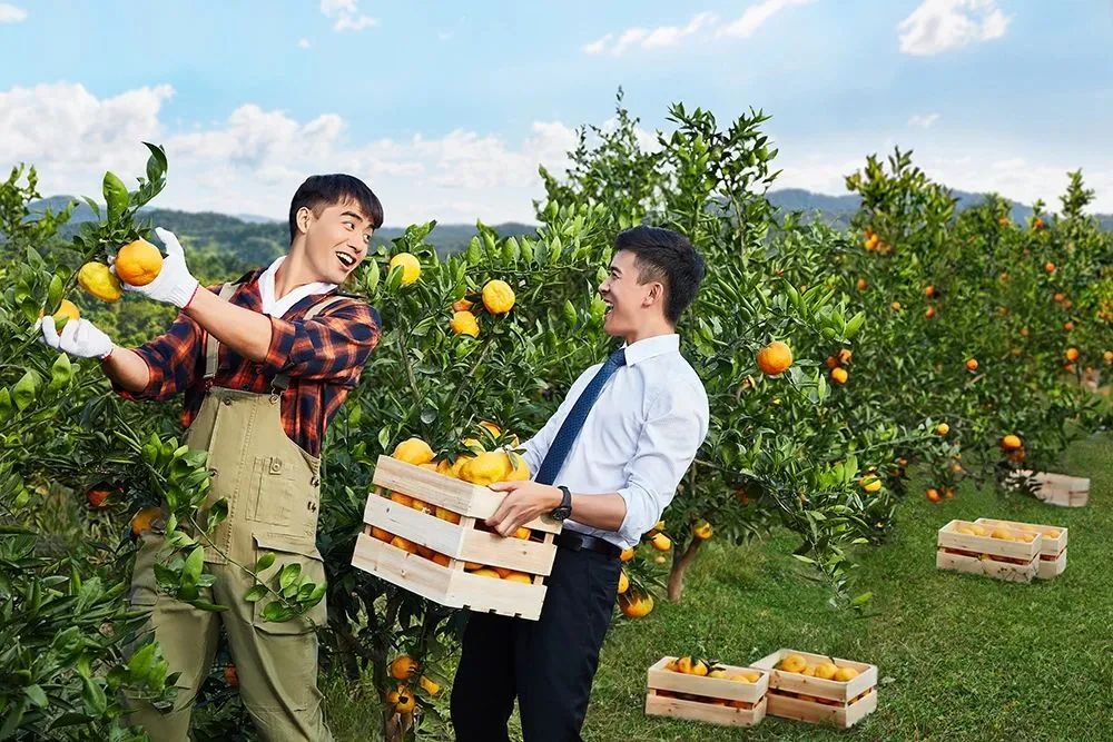 杰出雇主,泰隆银行在全国银行排名