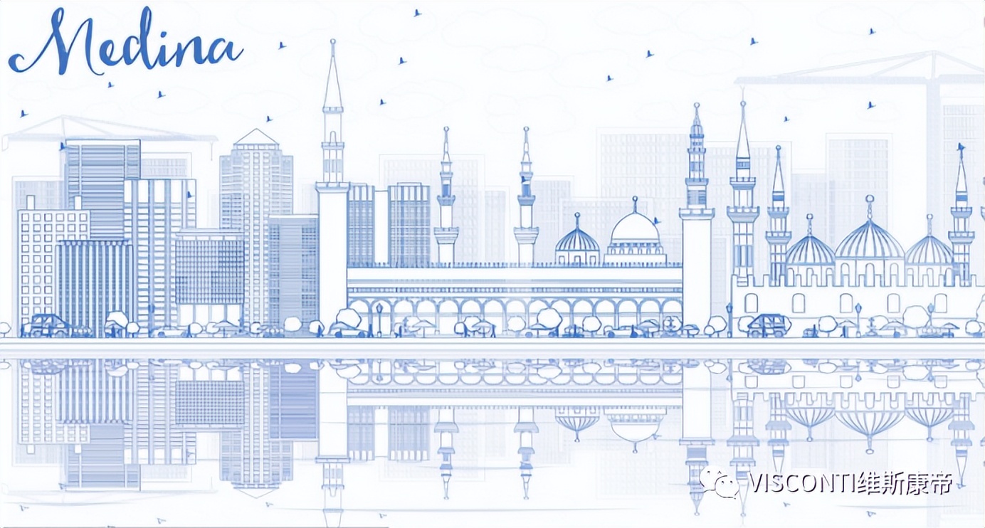 维斯康帝限量,visconti维斯康蒂钢笔