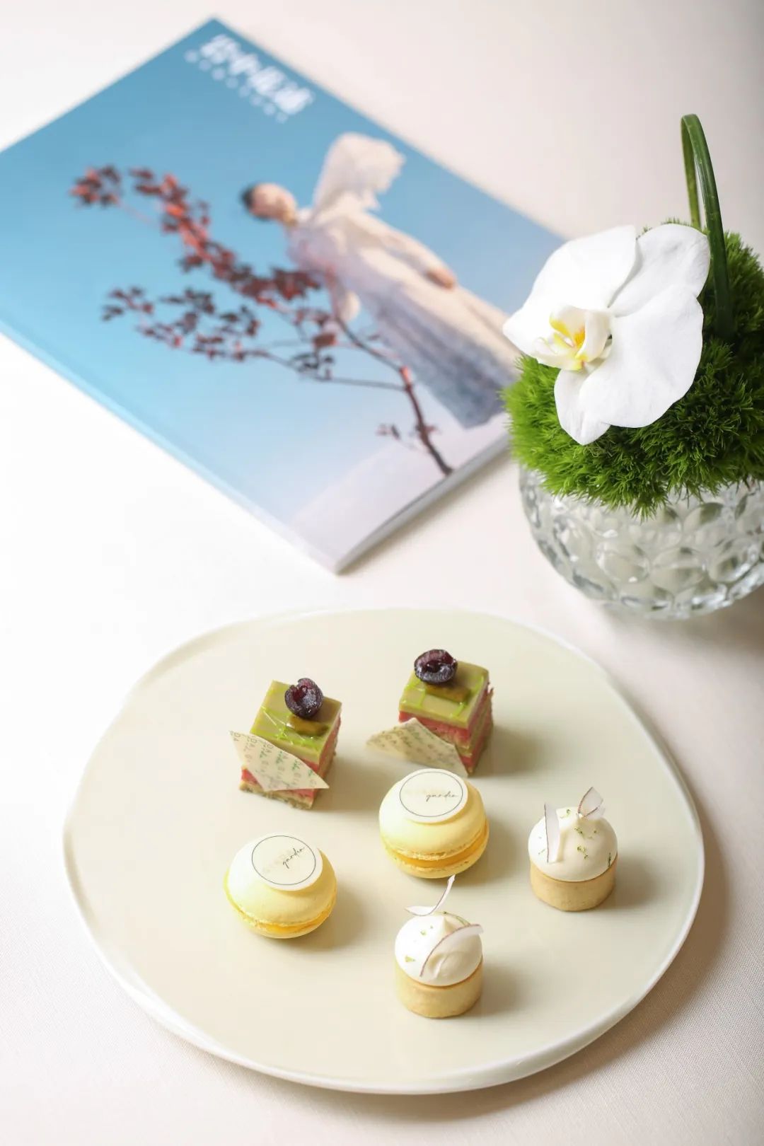 岩中花树抖音,岩中花树直播间