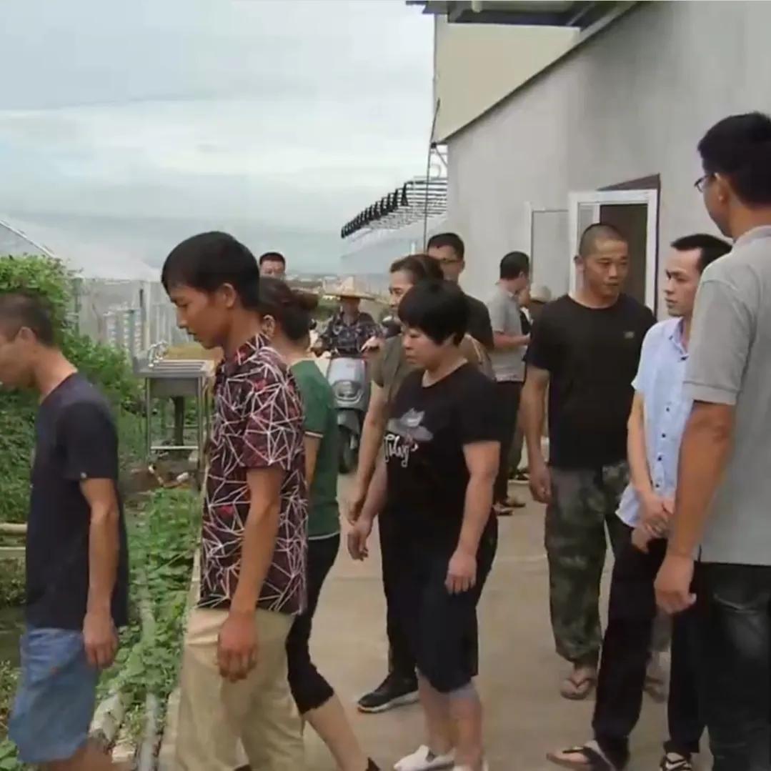 90后小伙承包15亩果园,湖南小伙承包五千亩四年赚上千万