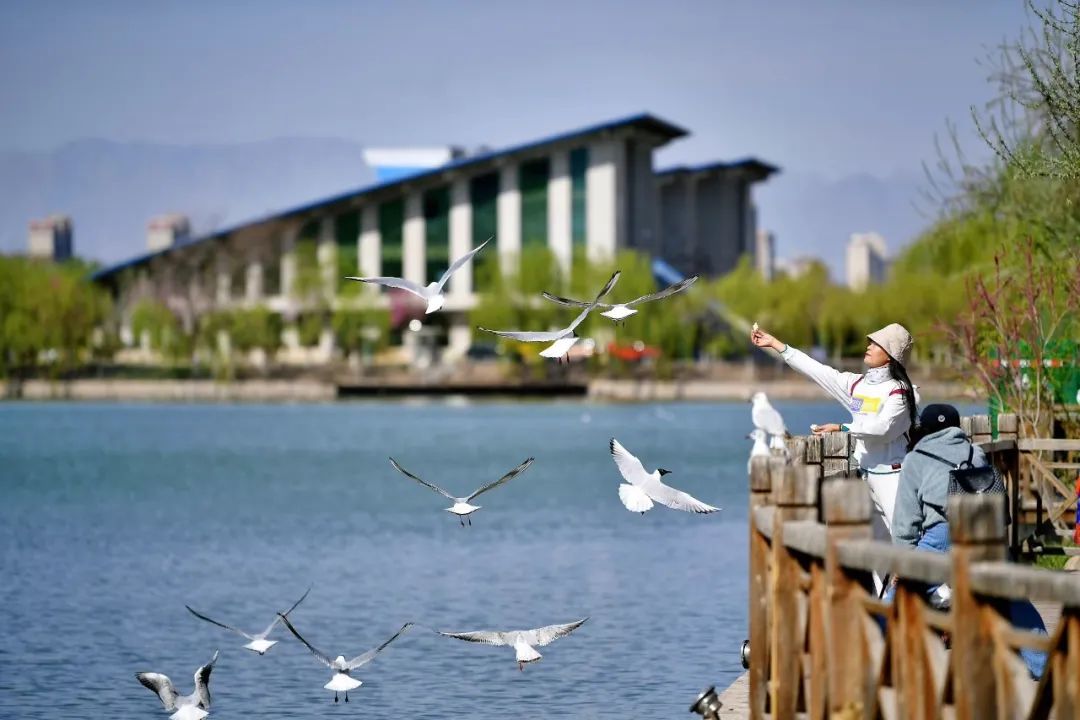 银川十美之城,银川获评十大大美之城