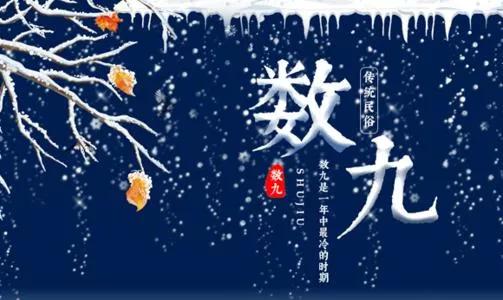 2020年什么时候数九几九最冷,几九最冷2023年数九时间表