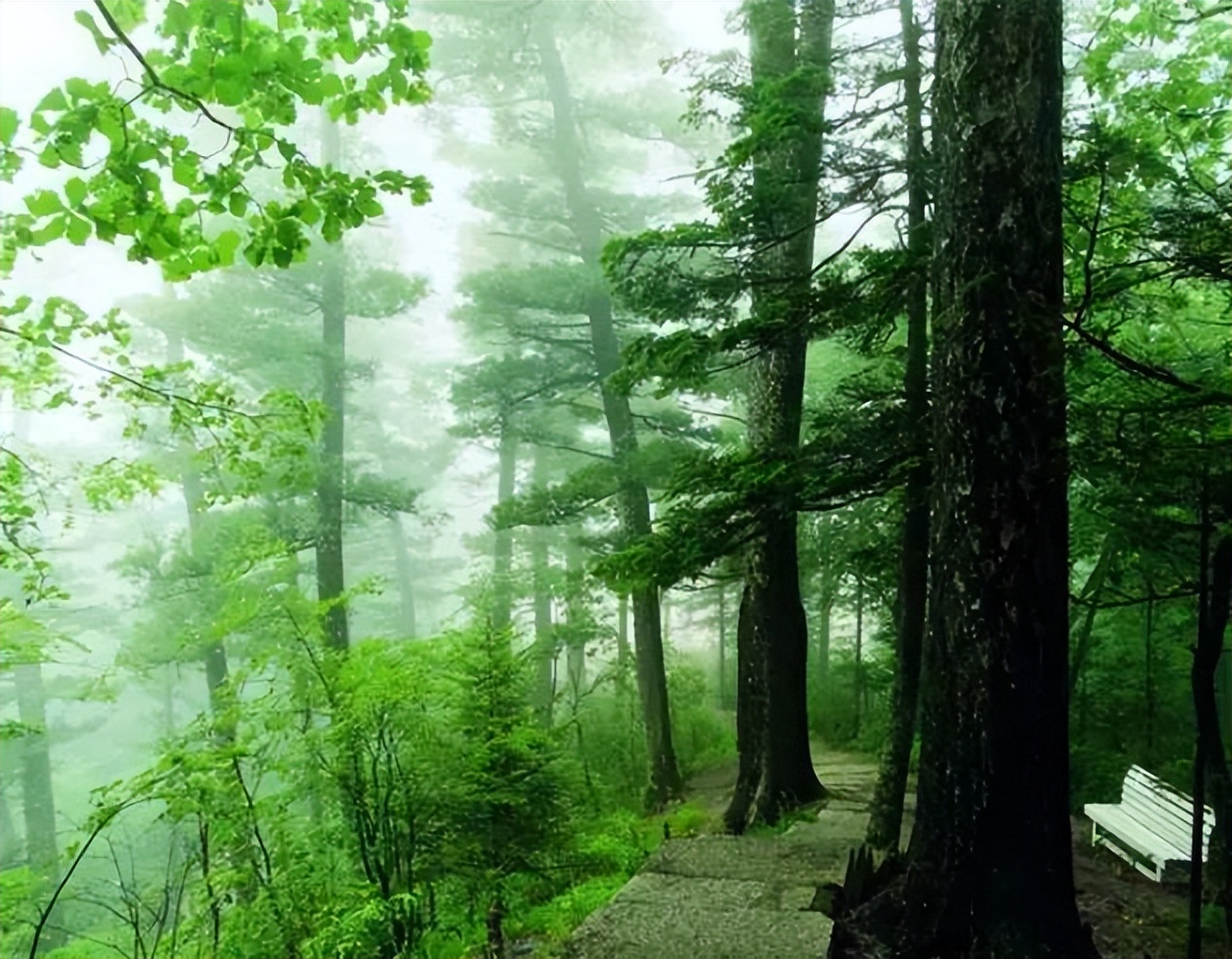 黑龙江省内自驾旅游线路推荐,黑龙江附近沿海城市开车自驾