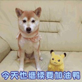 做妇科阴式超声最好啥时候做,妇科超声和腔内超声是一个检查吗