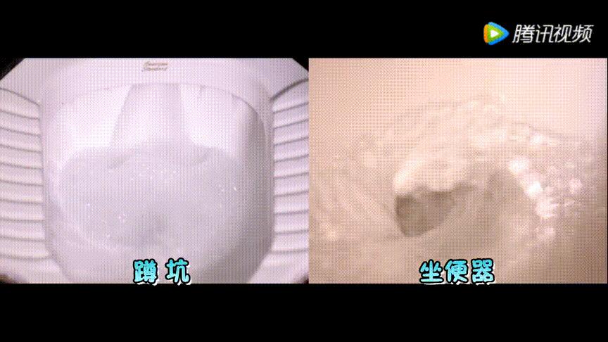 马桶和蹲便器哪个更脏,公共厕所马桶到底有多脏