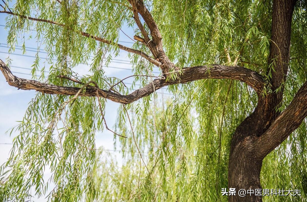 硬度不够无非就是不足和不通，一方补虚化瘀恢复该有的韧性