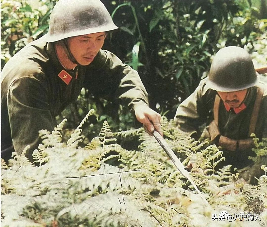 陶正明什么时候逝世的,战友眼中的陶正明将军