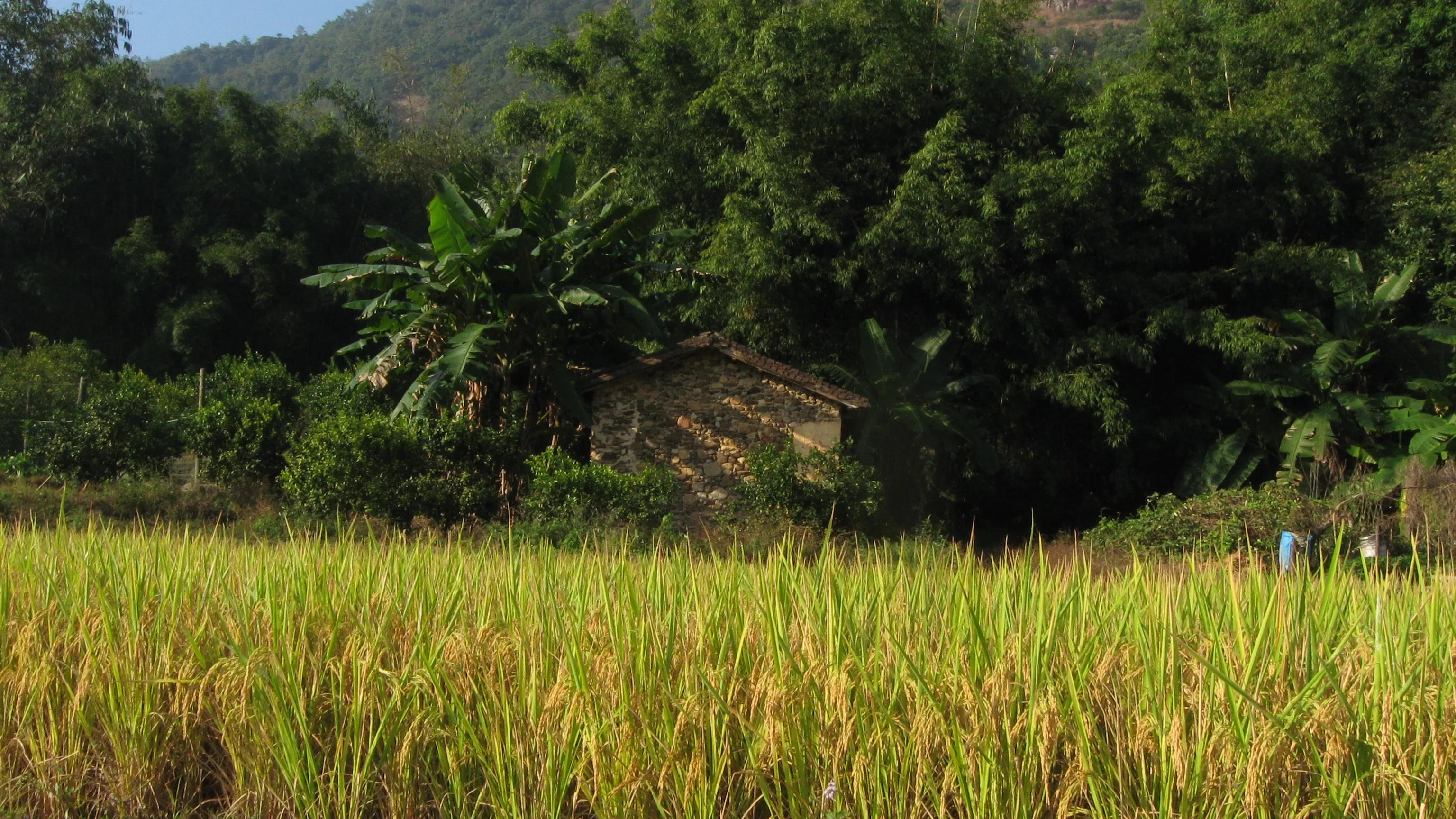家有良田,家有良田阵容
