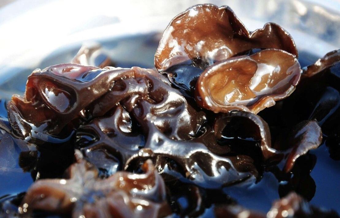 泡发黑木耳多长时间会中毒,黑木耳不能长时间泡辟谣