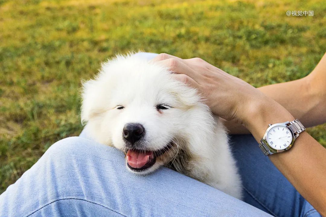 产品力重要还是自研率重要,产品力是最好的营销力