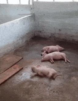 “易孕体质是种什么样的感受？”哇哈哈哈哈太真实了: