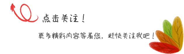 这种“燃烧的灌木”好看又好养，就像秋天里的一把火