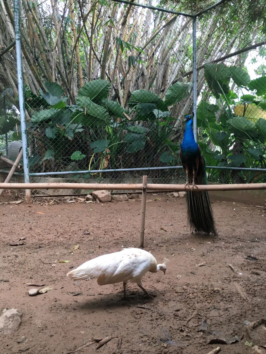 旭光电动车行,旭光车行向阳路