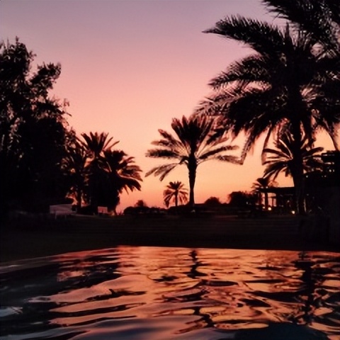 去迪拜旅游自由行攻略,迪拜自由行攻略大全